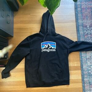 Patagonia Black Hoodie with Logo